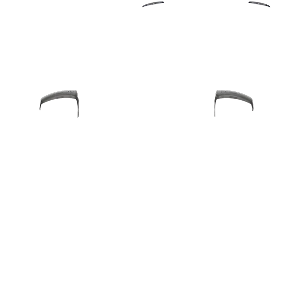 PF L1/R1 030 - Image 4