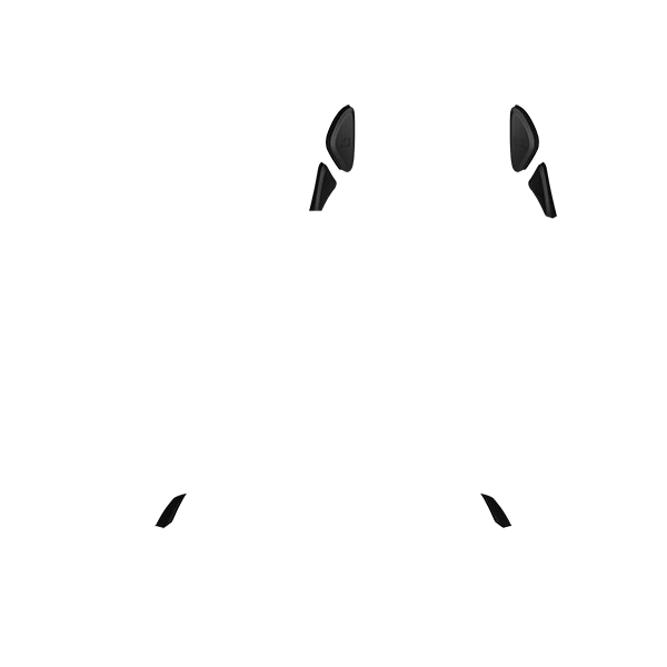 PF Phantom Back Button - Image 4