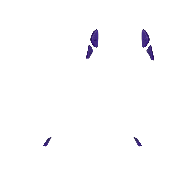 PF Phantom Back Button - Image 7