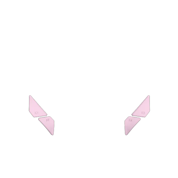 P SF EDGE Back button - Image 3